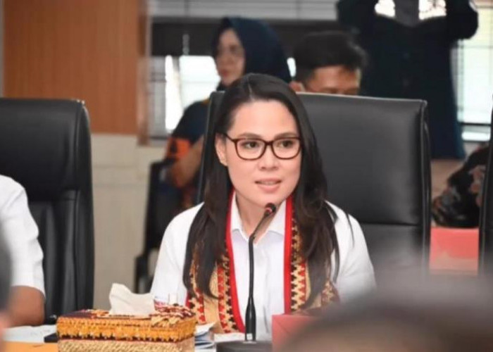 Siti Nurizka Terima Aduan Warga Soal Tambang Emas Ilegal di Muratara