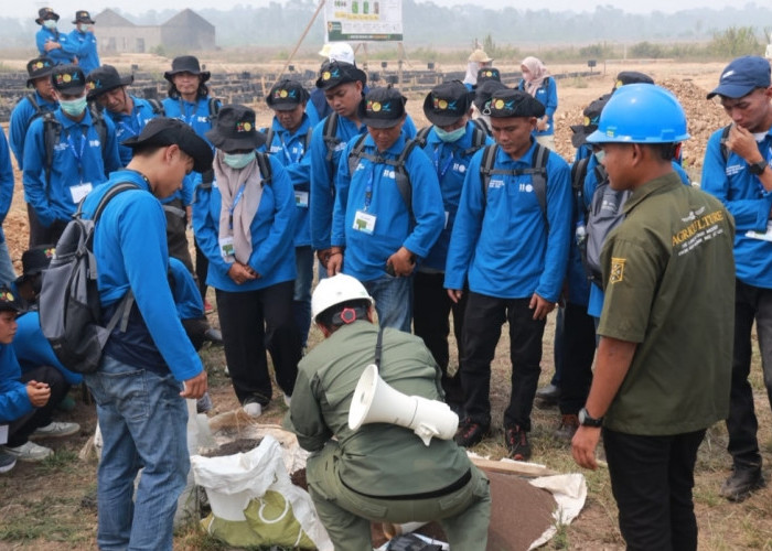 Pengalaman di Kebun Dibawa ke Ruang Kelas, Pelatihan Sawit OKU Bahas Persoalan Nyata Pekebun