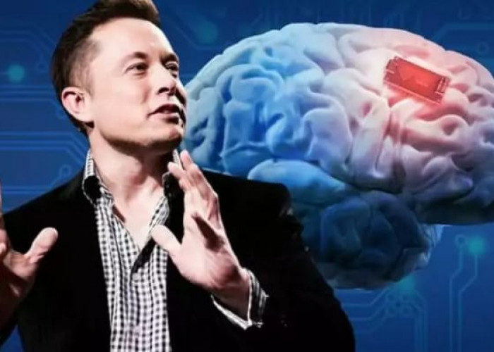 Elon Musk  Akan Uji Chip di Otak Manusia pada Tahun 2023