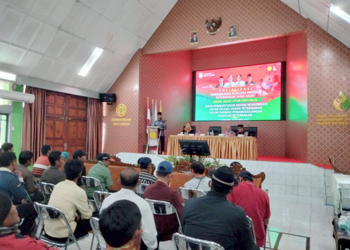 Peningkatan Produksi Daging Banyuasin, Jadi Nomor Satu di Sumsel 