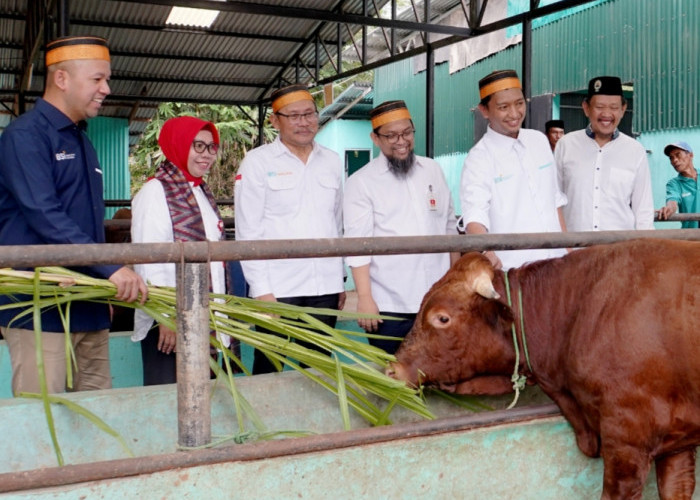 BSI Dukung Parangbanoa Angkat Potensi Peternakan Sapi Potong melalui Desa Binaan 