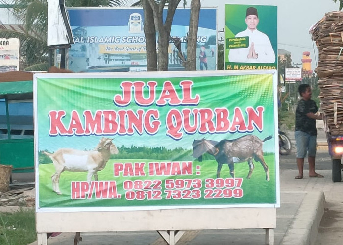 Penjualan Hewan Kurban Kambing. Pak Iwan yang Beralamatkan di jalan Soekarno Hatta Palembang samping jalan Tanjung Barangang