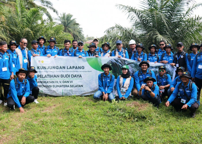 Belajar Tak Hanya di Kelas, 101 Pekebun OKI Asah Keterampilan Sawit Lewat Praktik Lapangan