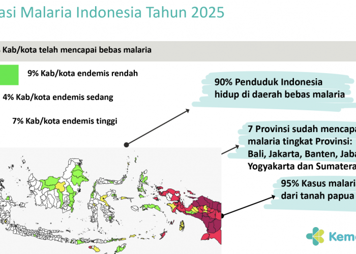 Sumsel Bebas Malaria Bersama 7 Provinsi Lain, Indonesia Kejar Eliminasi Malaria pada 2030