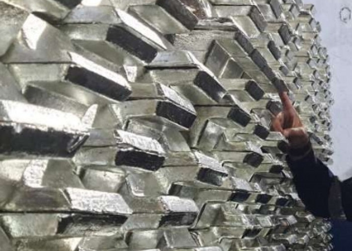 Info Emiten Hari Ini, Laba TINS Tahun 2025 Naik Siginifikan, KEJU Bagi Dividen 50 Persen dari Laba 