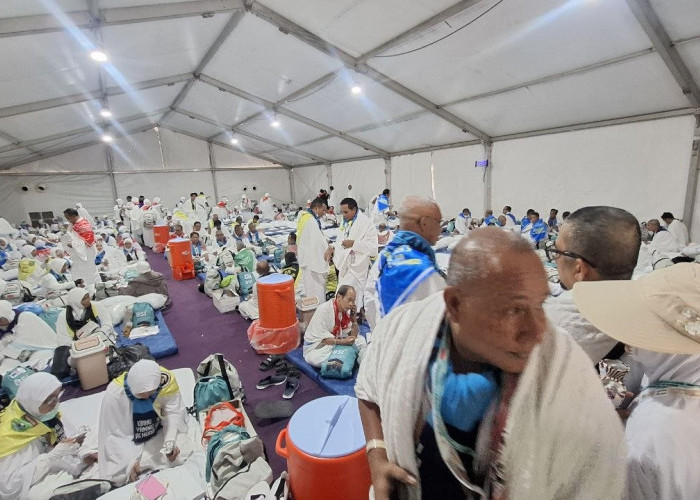 Jemaah Haji Mulai Bergerak ke Arafah, Kemenhaj Imbau Jaga Kesehatan Selama Armuzna