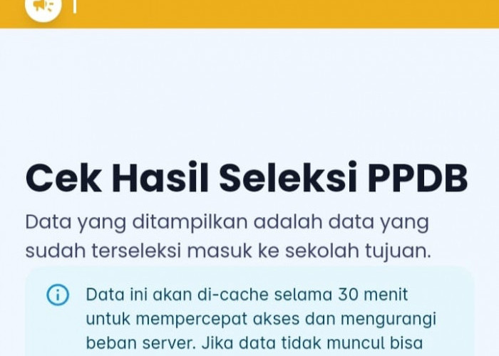 MACET! Portal PPDB Kota Palembang Tak Bisa Diakses, Cek Hasil Seleksi PPDB SMP