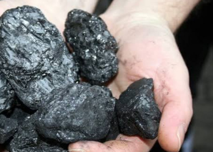 Info Emiten Hari Ini, UNTR Catat Penjualan Batu Bara 10 Juta Ton hingga RAJA Bagi Dividen Interim 28 Januari 