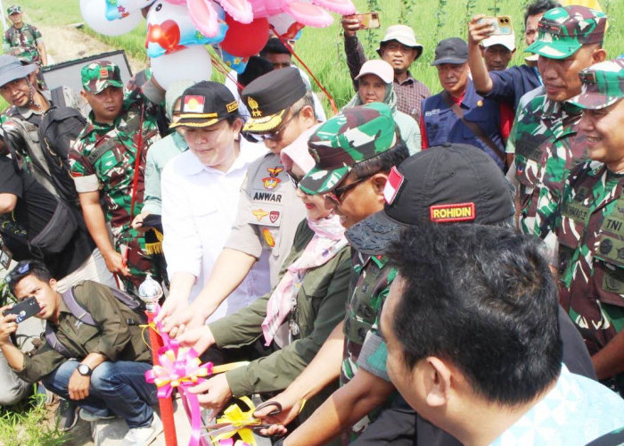 PLN Luncurkan Program Electrifying Agriculture, Perkuat Ketahanan Pangan Nasional