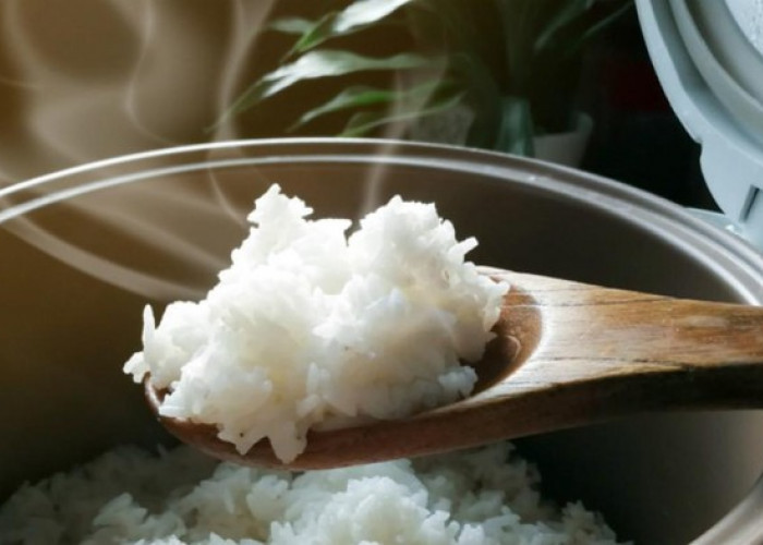 Bukan Makan Nasi yang Bikin Gagal Diet, Tapi Kebiasaan Ini