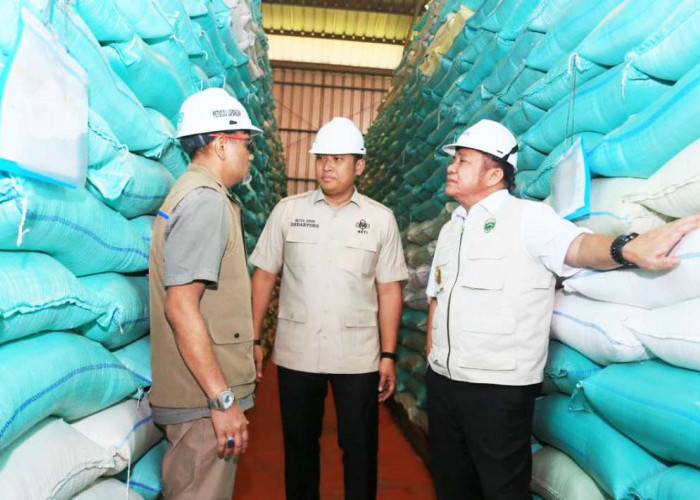  Gubernur Herman Deru Dampingi Wamentan Sudaryono Kunker ke OKU Timur, Tinjau Irigasi hingga Percepatan Tanam