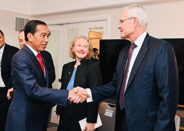 Bertemu CEO ExxonMobil, Presiden Jokowi Rencanakan Pembangunan Pertrokimia Hijau Tercanggih