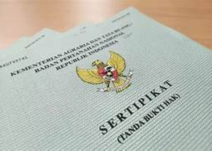 Sertifikat Tanah Hilang? Jangan Panik Dulu, Ini Cara Mengurusnya dengan Mudah dan Cepat