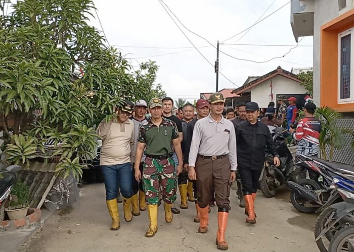 Wako,  Sekda, Dandim    Gotong Royong di Komplek BSD