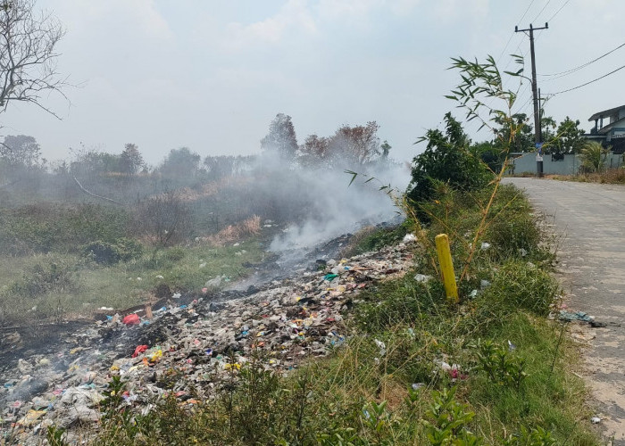 Dampak dari sisa kebakaran lahan yang terjadi di Kota Palembang