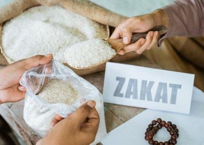 Bayar Zakat Fitrah Sendiri Tanpa Amil, Apakah Sah dan Diperbolehkan dalam Islam?