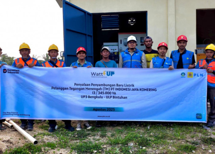 PLN Hadirkan Listrik Andal untuk Tambak Udang di Bengkulu, Kado Spesial Jelang Hari Pelanggan Nasional