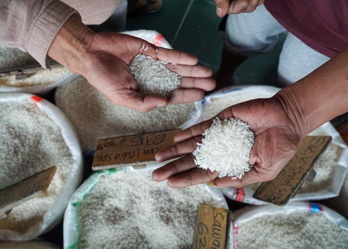 Stok Beras Sumsel Babel Capai 93 Ribu Ton, Bulog Pastikan Aman hingga Akhir Tahun 2026