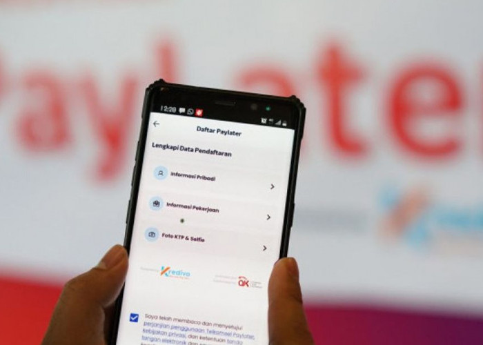 Jangan Sampai Salah, Ini Daftar Aplikasi PayLater Resmi di Indonesia, Simak Cara Pengajuannya di Sini