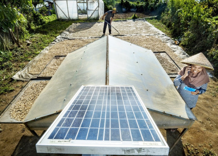 Wujudkan Komitmen sebagai World-Class Sustainable Banking Group, BRI Perkuat Kontribusi terhadap SDGs