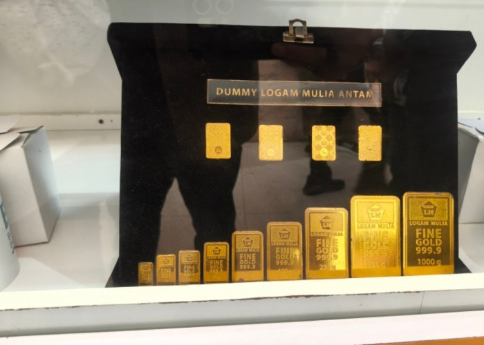 Harga Emas Antam Hari Ini Jumat 24 April 2026 Stagnan, Logam Mulia 2 Gram Bertahan di Rp 5,55 Juta