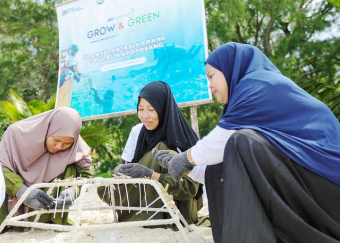 Jaga Ekosistem Laut Tetap Lestari, Ini Aksi Nyata BRI Menanam - Grow and Green di Pulau Kapoposang 