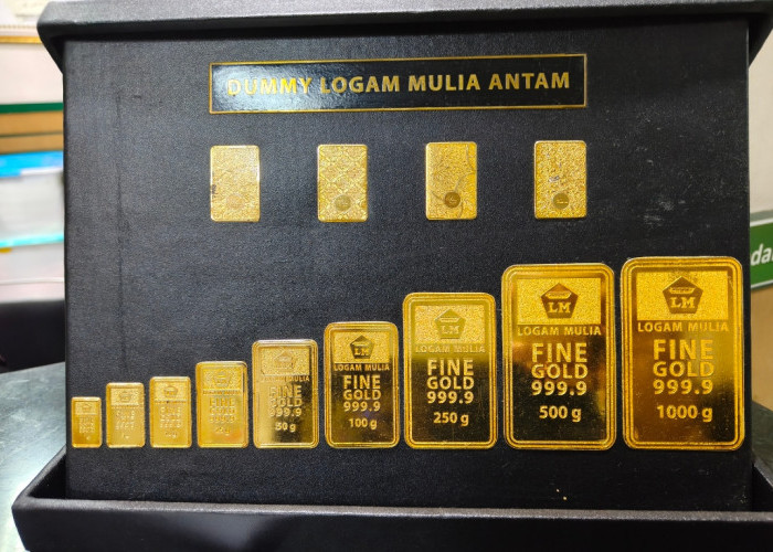Harga Emas Antam Hari Ini Kamis 12 Februari 2026 Stagnan, Logam Mulia 0,5 Gram Bertahan Rp 1,52 Juta