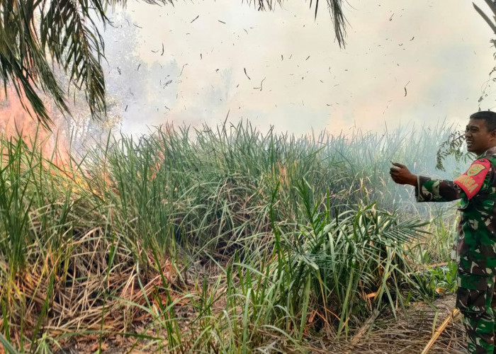 Proses pemadaman api di lahan yang terbakar di kota Palembang