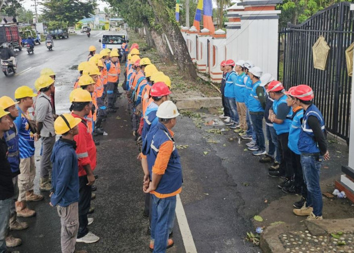 Jaga Kehandalan Pasokan Listrik, PLN Unit Layanan Pelanggan di Bengkulu Lakukan Kolaborasi Gebyar ROW