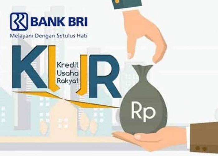 KUR BRI Makin Permudah Debitur Kembangkan Usaha, Bunga Kecil Pencairan Cepat 