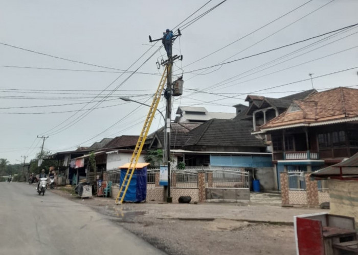 PLN ULP Kayu Agung Tingkatkan Keandalan Listrik di Tulung Selapan Lewat Uprating Penyulang Tenggiri