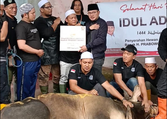 Prabowo Subianto Bagikan Hewan kurban ke Alim Ulama di Palembang 