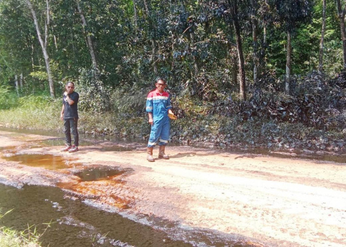 1 Hektare Lahan, 100 Batang Karet di Lubuk Raman Tercemar Minyak Mentah, Biang Keladinya Bikin Sesak Dada