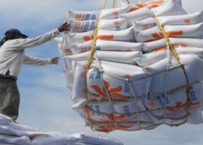 Domestic Highlights Hari Ini, Rencana Ekspor Beras 2.000 Ton ke Malaysia Setiap Bulannya dan Data ULN RI 2025