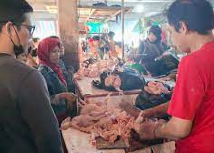 Harga Pangan Pokok Mulai Merangkak Naik di  Pasar Tradisional Kota Palembang