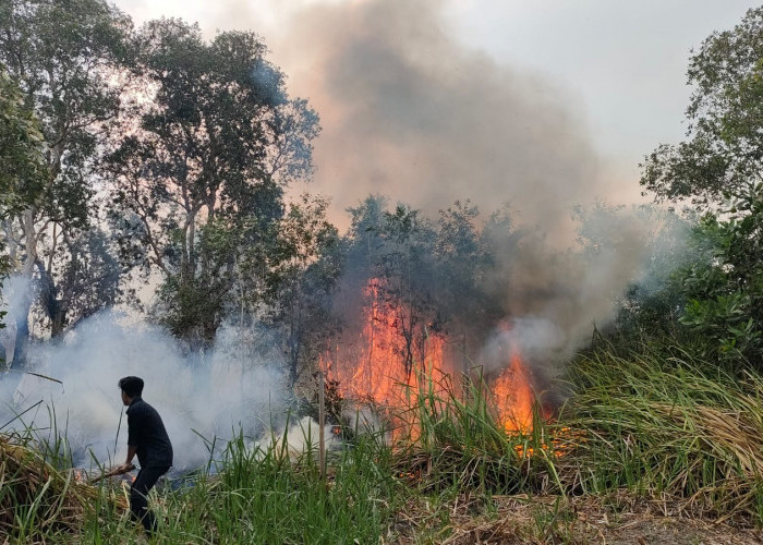 Proses pemadaman api di lahan yang terbakar di kota Palembang