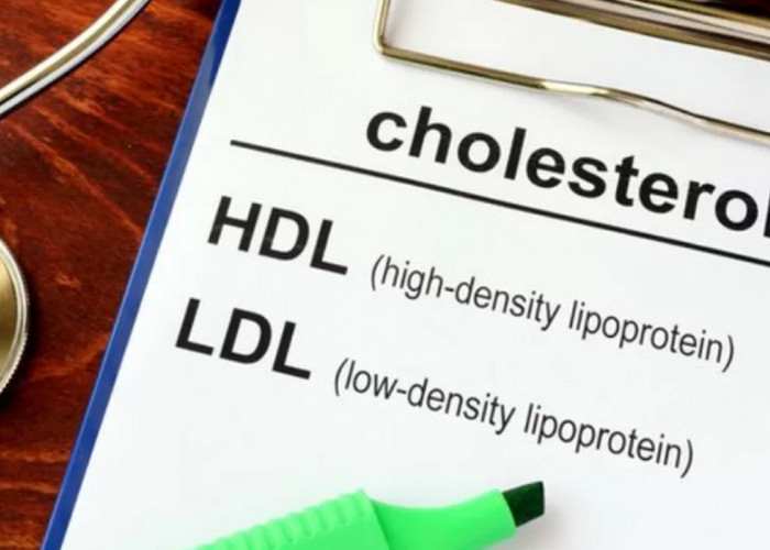 Sering Dikira Buruk, Kolesterol LDL Ternyata Punya Peran Besar Untuk Kesehatan Otak