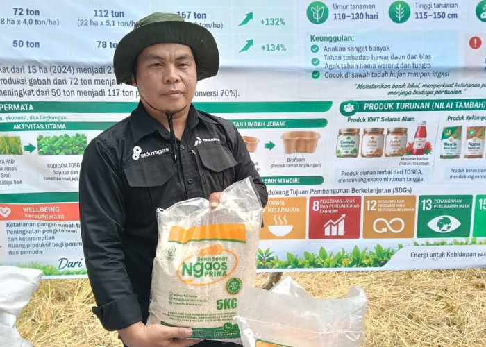Bukti Nyata Kerja Keras, Petani PALI Ini Puluhan Tahun Tak Pernah Beli Beras 