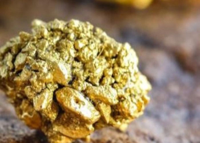 Indonesia Peringkat 12 Produksi Emas Terbesar Dunia, Berikut Daftar Daerah Penghasilnya di Nusantara? 