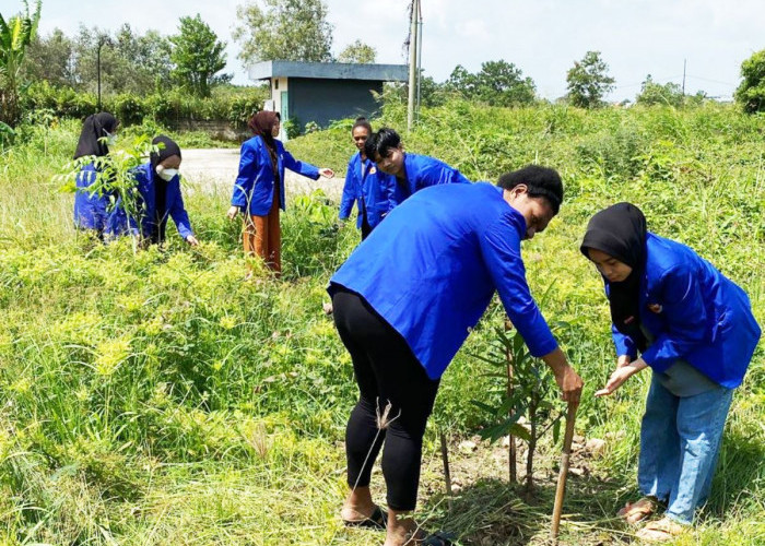 Dukung Aksi Iklim, UBD Tanam Pohon di Area Asrama Kampus