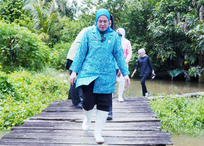 Ketua PKK Kota Palembang Dewi Sastrani Ratu Dewa Terobos Banjir Demi Bantu warga