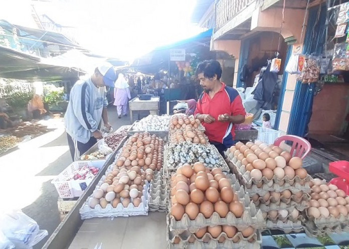 Harga Ayam dan Telur di Pasar Palembang Naik Lagi, Cabai Terjun Bebas, Cek Harga di Sini 