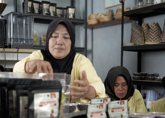 Kopi Tebat Benawa Pusri, Tumbuhkan Harapan Petani di Gunung Dempo Pagar Alam