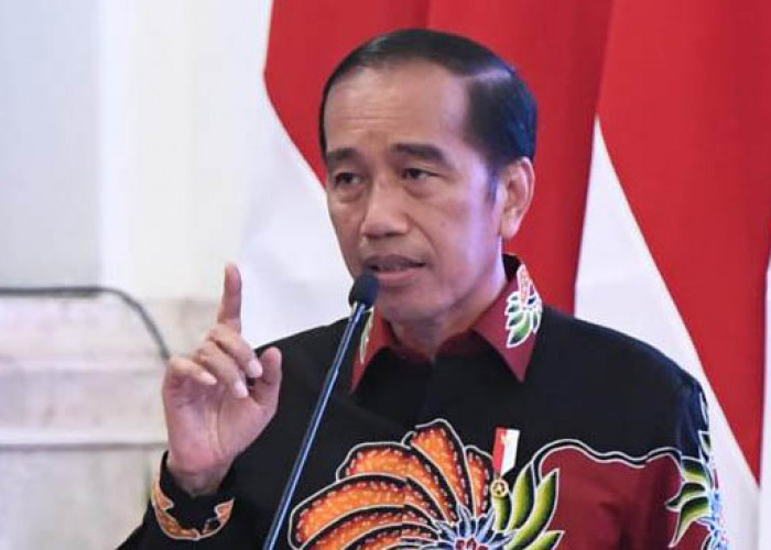 Ini Respons Jokowi Disebut Rocky Gerung 'Bajingan': Itu Hal Kecil