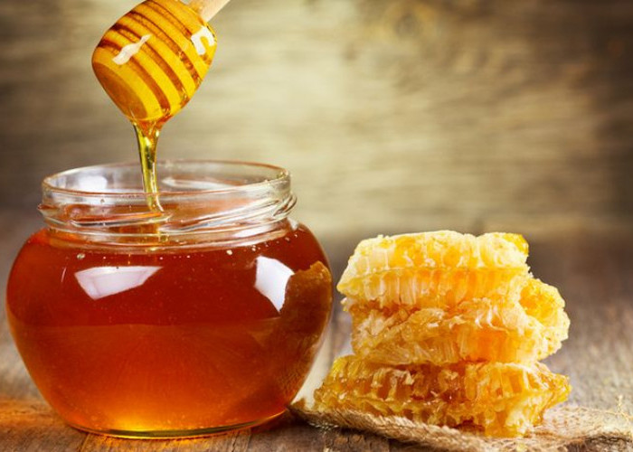3 Cara Membedakan Madu Asli dan Palsu, Jangan Sampai Kehilangan Khasiat
