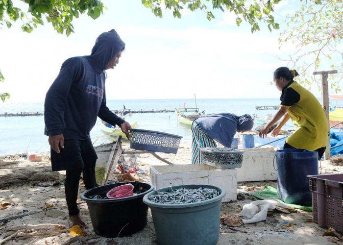 Layanan SuperSUN PLN, Inovasi Listrik Bersih 24 Jam, Dukung Kemajuan Masyarakat Kepulauan di Sulawesi Selatan