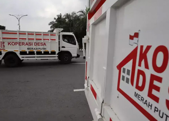 Siap-siap! Ini Tahapan Selanjutnya Usai Kamu Lulus Seleksi Administrasi Kopdes Merah Putih 2026