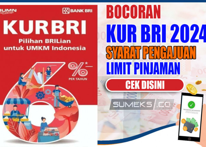 KUR BRI Jadi 