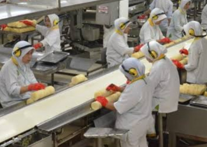 Domestic Highlights Hari Ini, Kinerja Kuartal II 2025, Industri Pengolahan Ekspansif, Dunia Usaha Meningkat