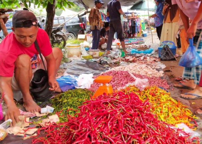 Ternyata Sudah Dua Pekan Harga Bahan Pokok Naik